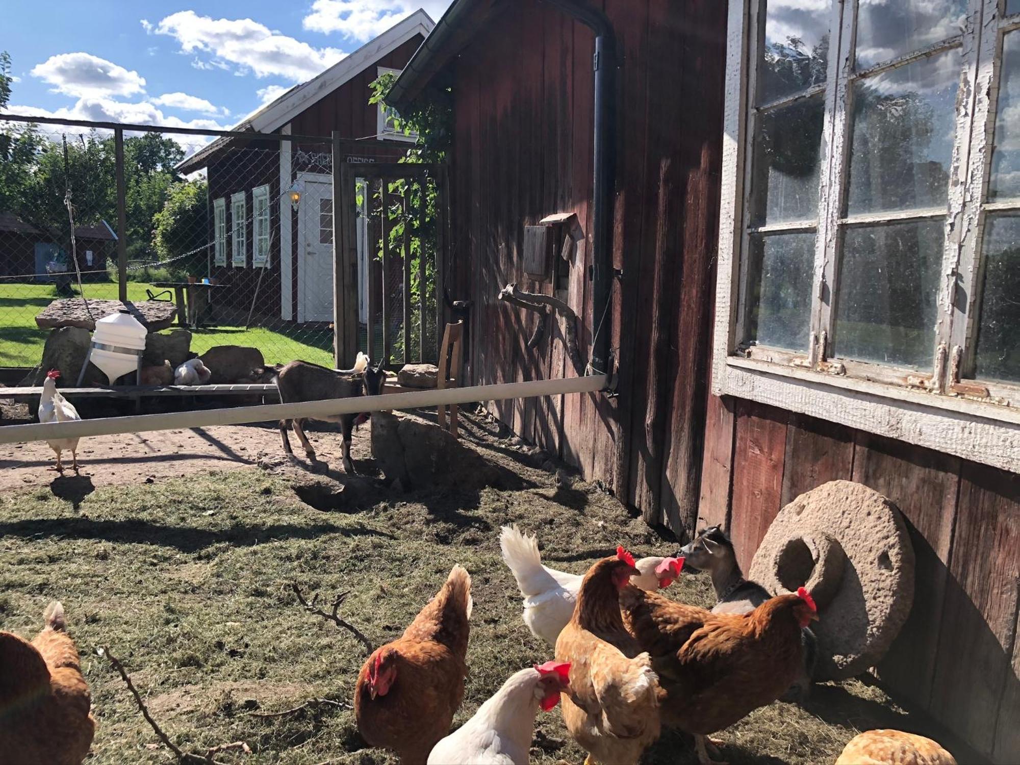 Aeventyrsgardens Vandrarhem, Kinnekulle Källby Εξωτερικό φωτογραφία