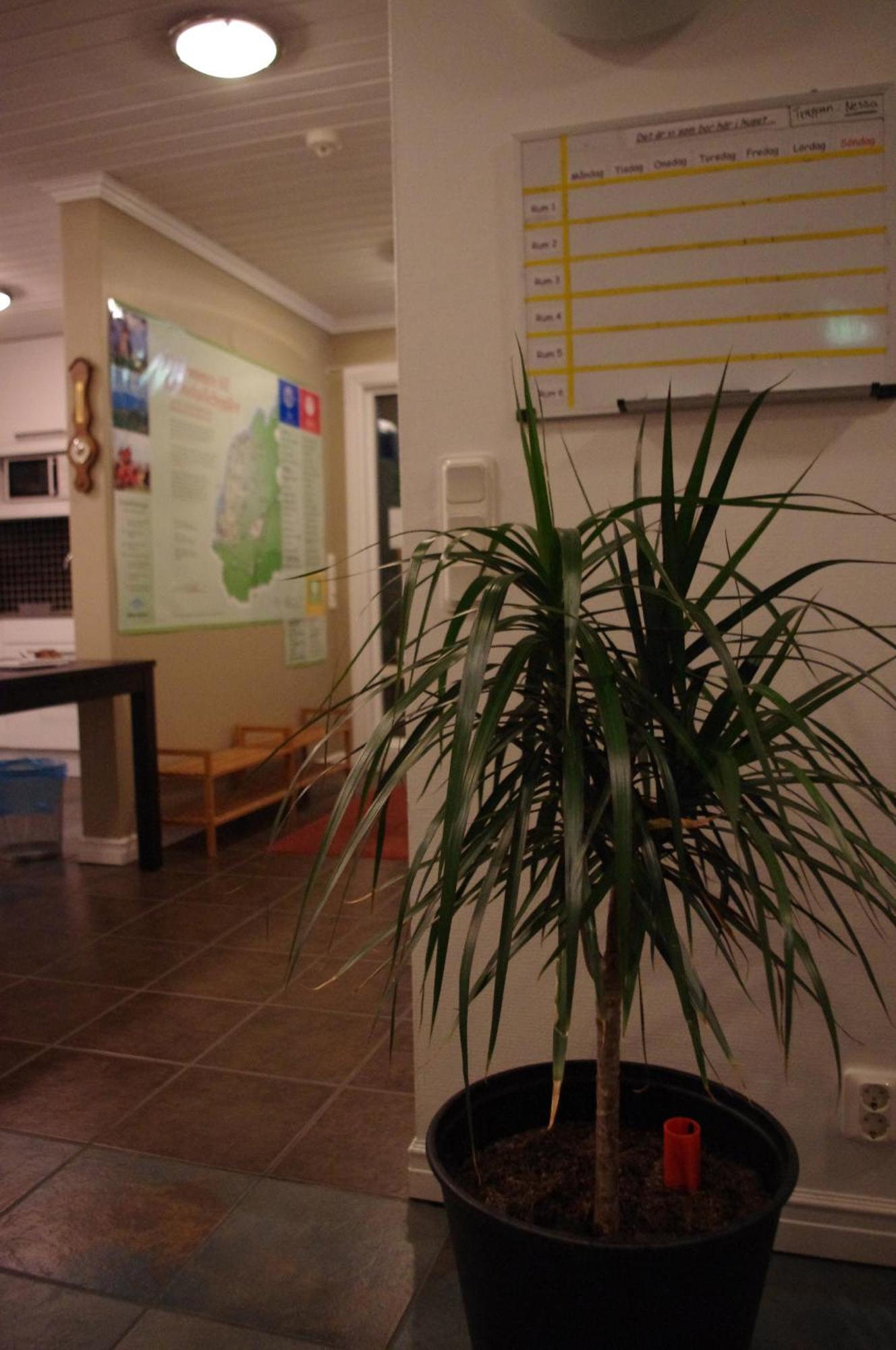 Aeventyrsgardens Vandrarhem, Kinnekulle Källby Εξωτερικό φωτογραφία