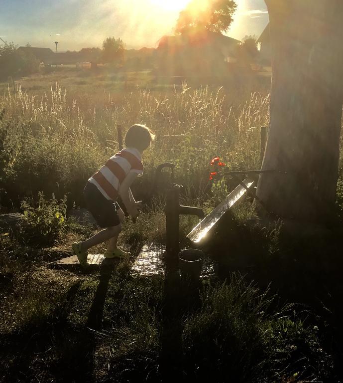 Aeventyrsgardens Vandrarhem, Kinnekulle Källby Εξωτερικό φωτογραφία